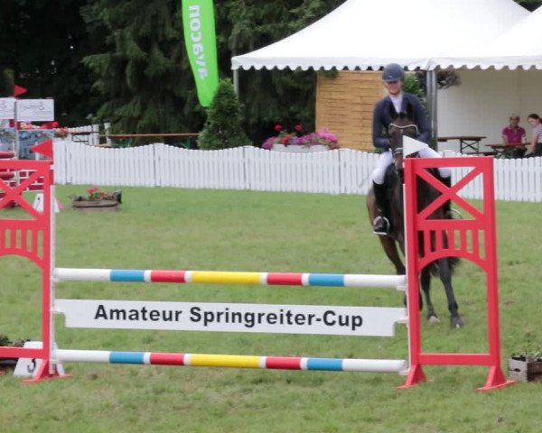 Reitturnier Nienburg 2021