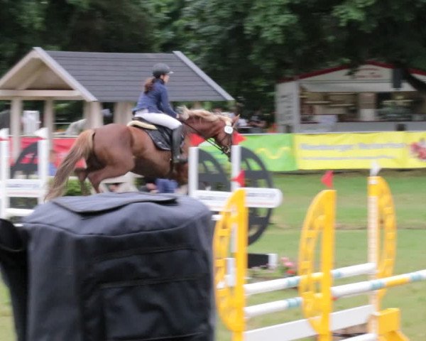 Reitturnier Nienburg 2021