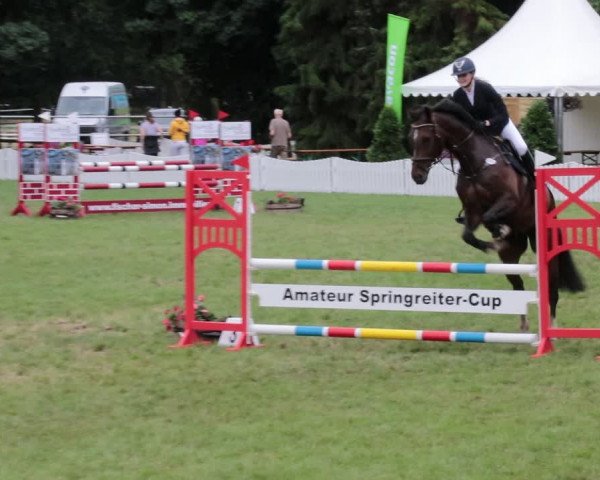 Reitturnier Nienburg 2021