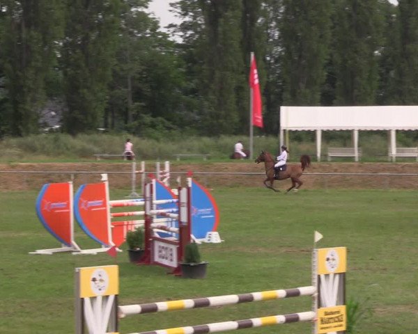 Reitturnier Reitstadion Löbnitz 2021