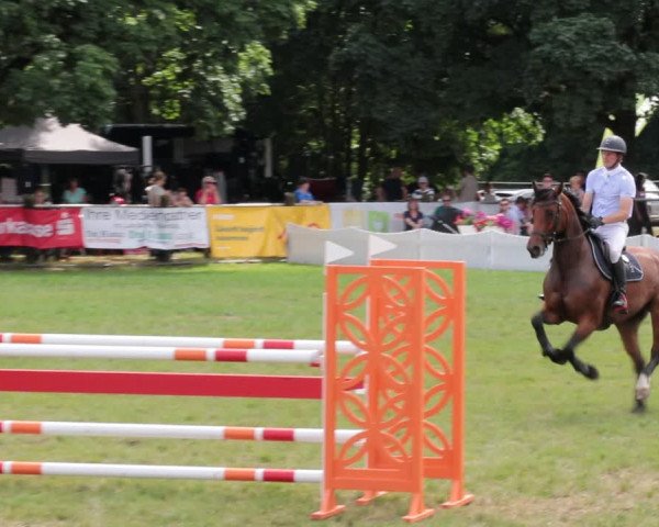 Reitturnier Nienburg 2021