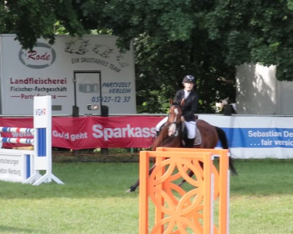 Reitturnier Nienburg 2021