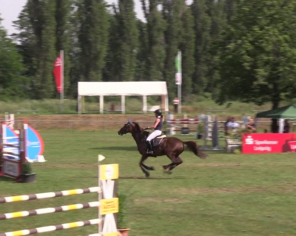 Reitturnier Reitstadion Löbnitz 2021