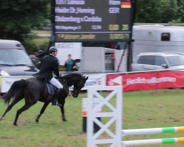 Reitturnier Nienburg 2021