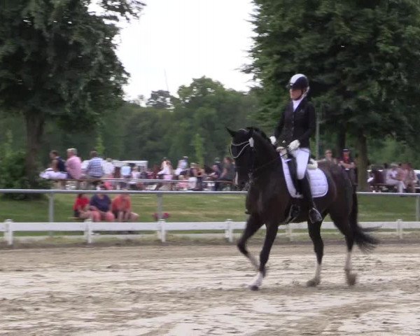 Reitturnier Coesfeld/Lette 2021