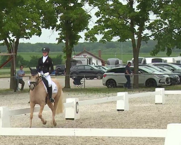 Reitturnier Rot am See- Musdorf 2021
