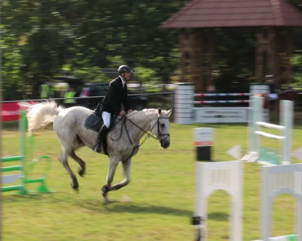 Reitturnier Nienburg 2021