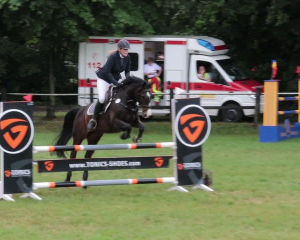 Reitturnier Nienburg 2021