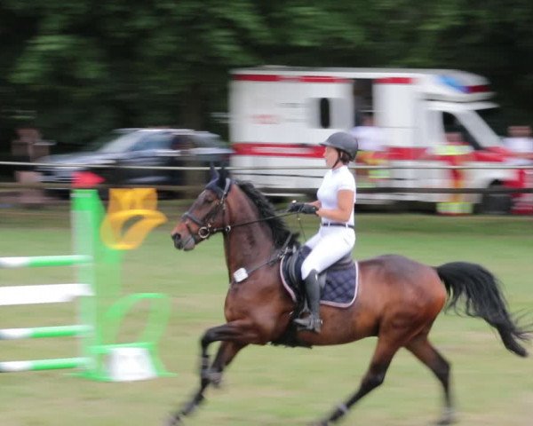 Reitturnier Nienburg 2021