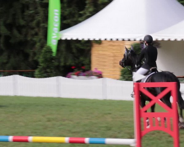 Reitturnier Nienburg 2021