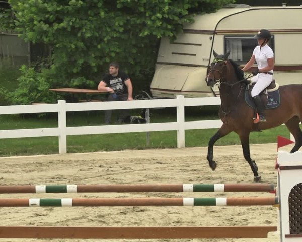 Reitturnier - Leutkirch-Diepoldshofen 2021