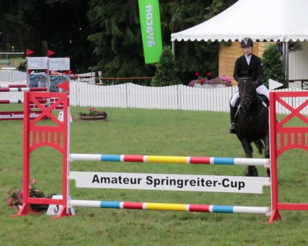 Reitturnier Nienburg 2021