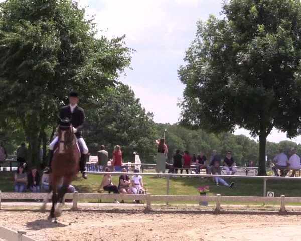 Reitturnier Coesfeld/Lette 2021