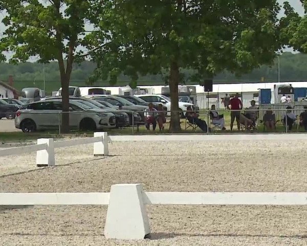 Reitturnier Rot am See- Musdorf 2021