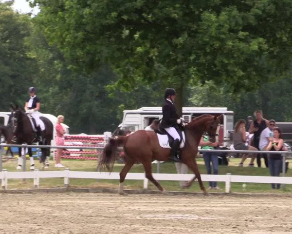 Reitturnier Coesfeld/Lette 2021