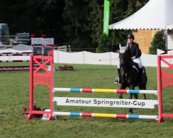 Reitturnier Nienburg 2021