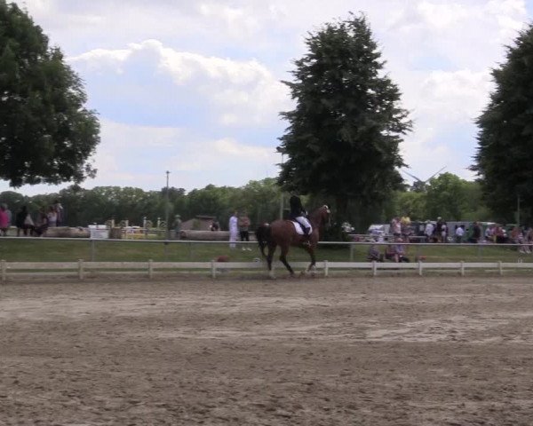 Reitturnier Coesfeld/Lette 2021