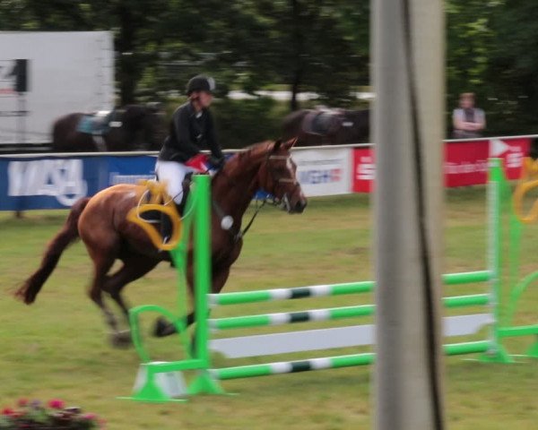 Reitturnier Nienburg 2021