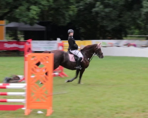 Reitturnier Nienburg 2021