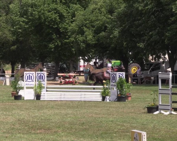 Reitturnier Reitstadion Löbnitz 2021