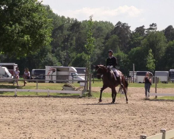 Reitturnier Coesfeld/Lette 2021