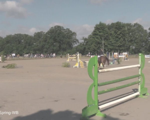 Reitturnier Coesfeld/Lette 2021