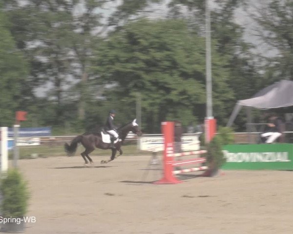 Reitturnier Coesfeld/Lette 2021