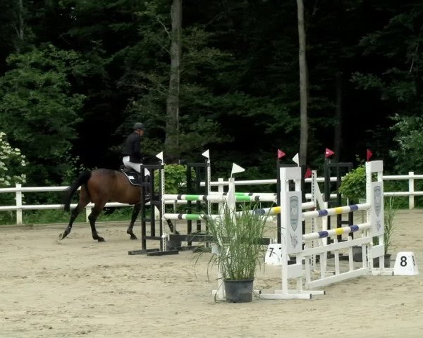 Reitturnier Nordstetten- Horb 2021