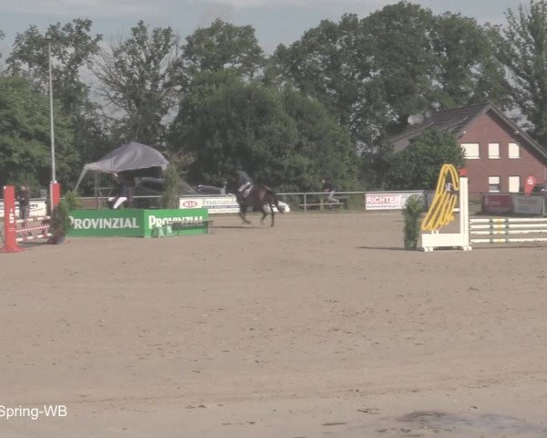 Reitturnier Coesfeld/Lette 2021