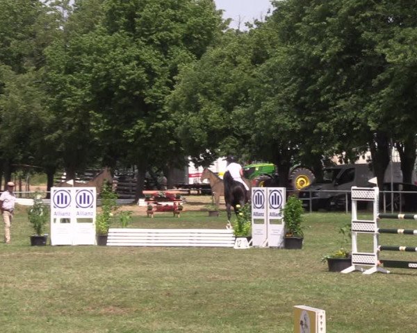 Reitturnier Reitstadion Löbnitz 2021