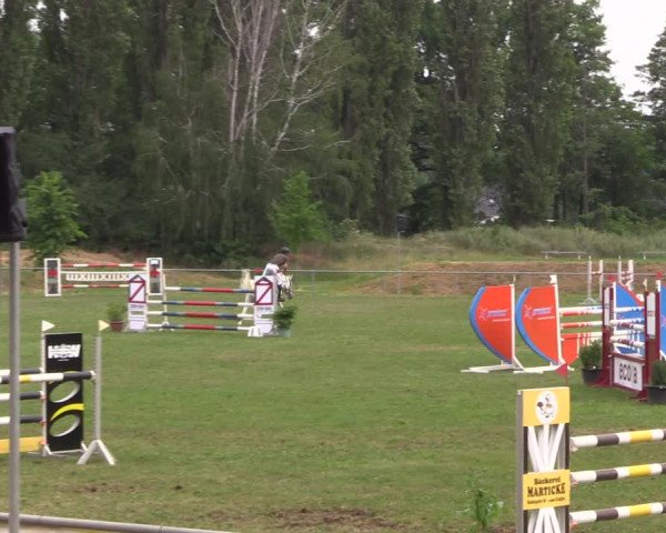 Reitturnier Reitstadion Löbnitz 2021