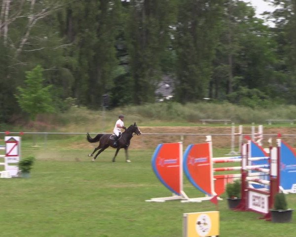 Reitturnier Reitstadion Löbnitz 2021
