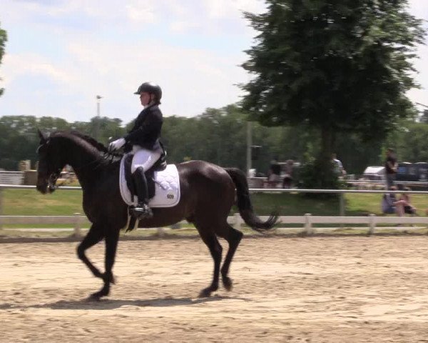 Reitturnier Coesfeld/Lette 2021