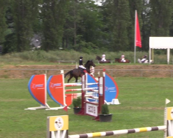 Reitturnier Reitstadion Löbnitz 2021