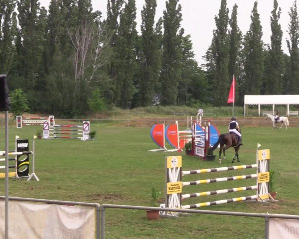 Reitturnier Reitstadion Löbnitz 2021