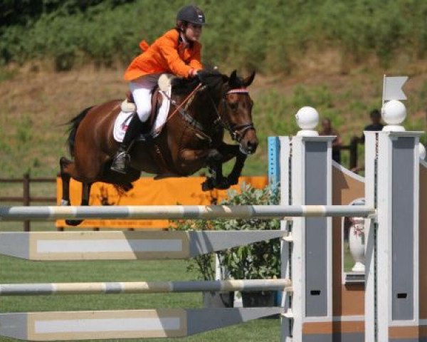 horse Wiskerke's Mirror (New Forest Pony,  , from Kantje's Ronaldo)