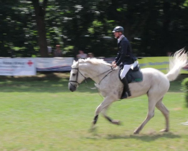 Reitturnier Nienburg 2021
