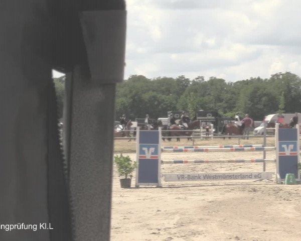 Reitturnier Coesfeld/Lette 2021