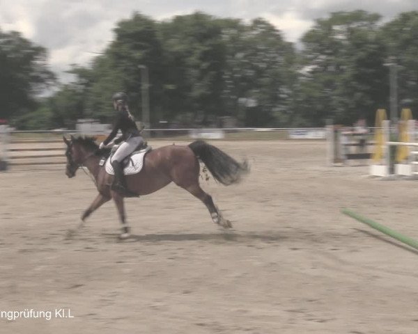 Reitturnier Coesfeld/Lette 2021