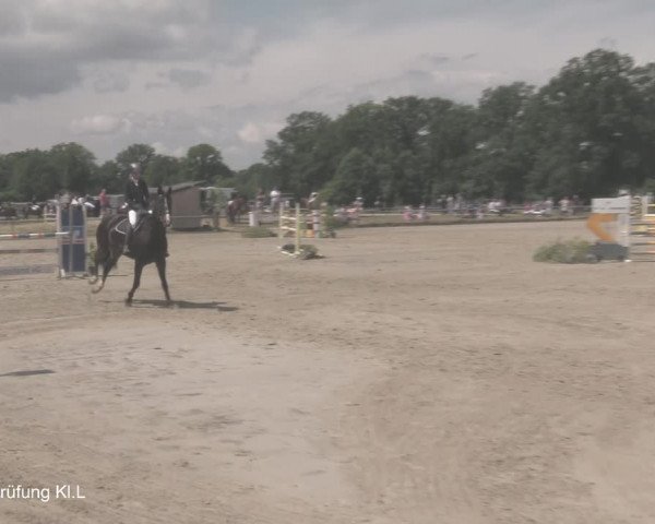 Reitturnier Coesfeld/Lette 2021