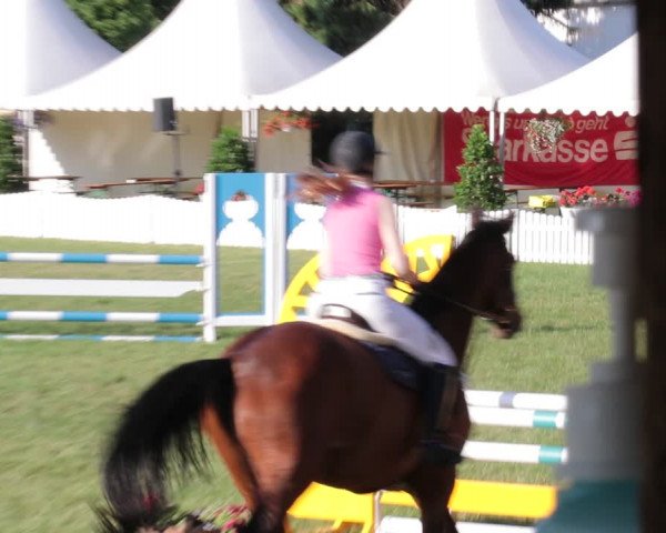 Reitturnier Nienburg 2021