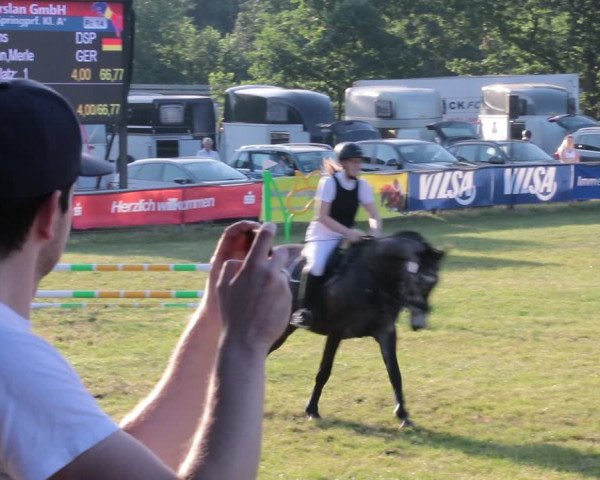 Reitturnier Nienburg 2021