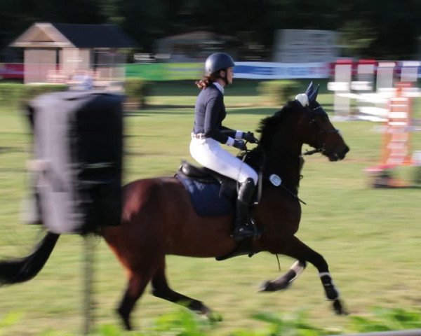 Reitturnier Nienburg 2021