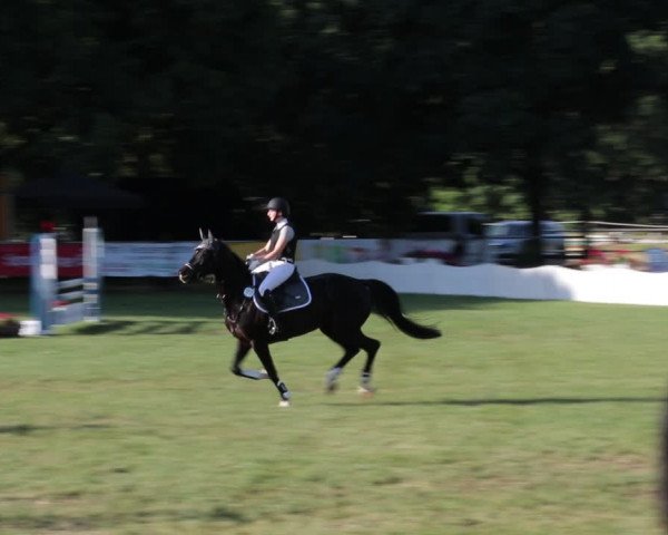 Reitturnier Nienburg 2021