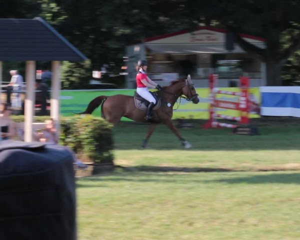 Reitturnier Nienburg 2021