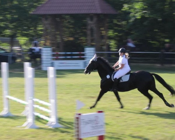 Reitturnier Nienburg 2021
