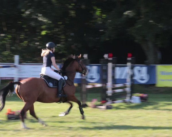 Reitturnier Nienburg 2021