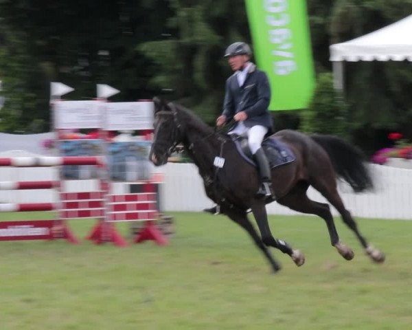 Reitturnier Nienburg 2021