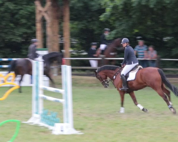 Reitturnier Nienburg 2021