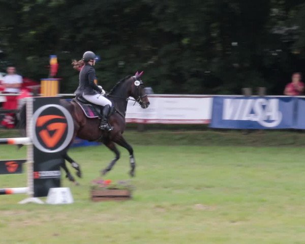 Reitturnier Nienburg 2021